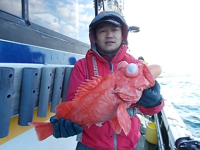 アコウ