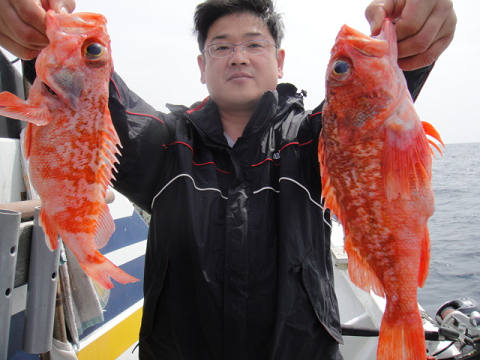 [Cނ