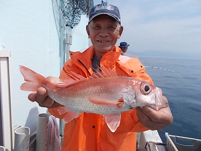 [Cނ