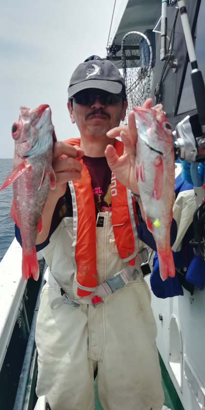 [Cނ