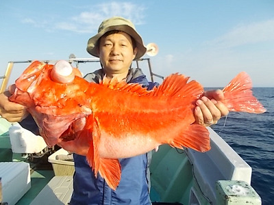 [Cނ