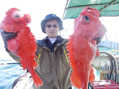 [Cނ