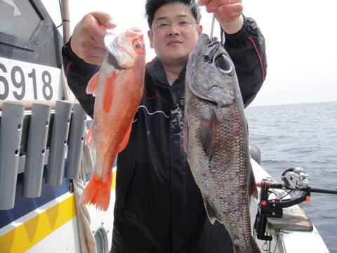 [Cނ