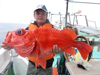 深海釣り