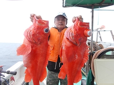 深海釣り アコウ