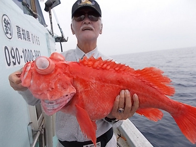 深海釣り アコウ