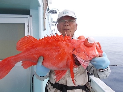 深海釣り アコウ