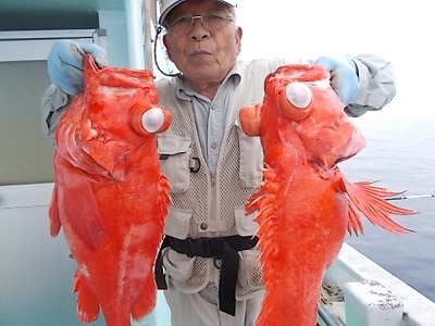 深海釣り アコウ