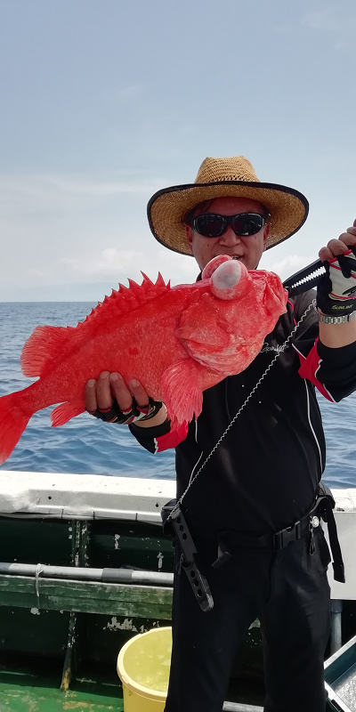 深海釣り アコウ
