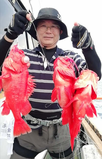 深海釣り アコウ