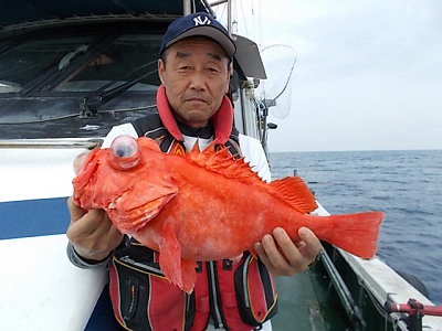 深海釣り アコウ