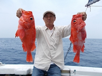 深海釣り アコウ