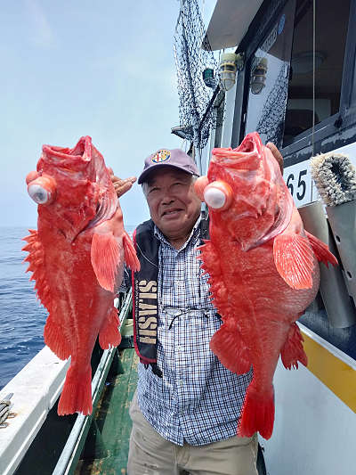 深海釣り アコウ