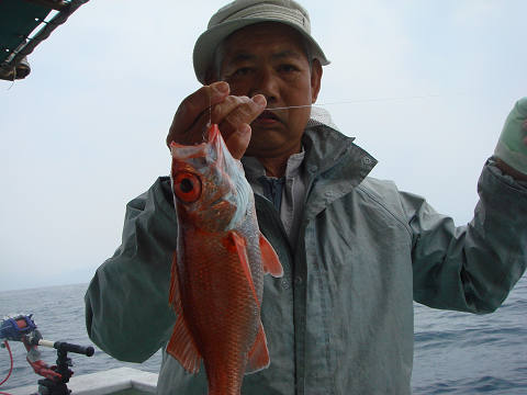 [Cނ