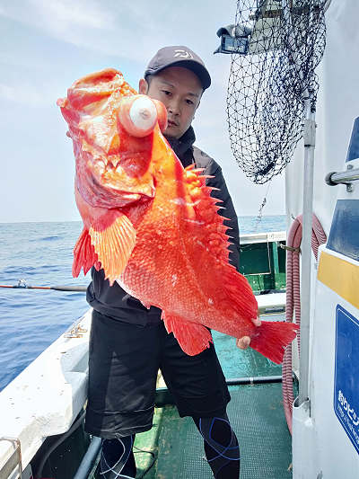 深海釣り アコウ