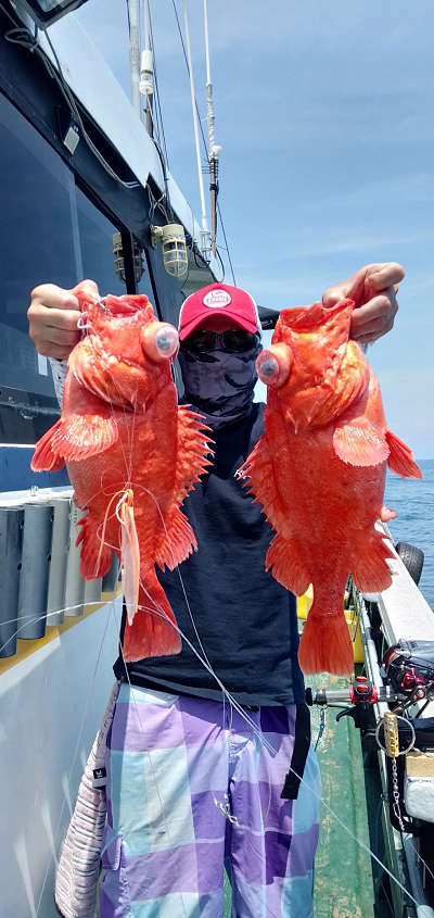 深海釣り アコウ