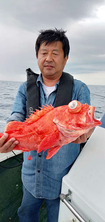 深海釣り アコウ