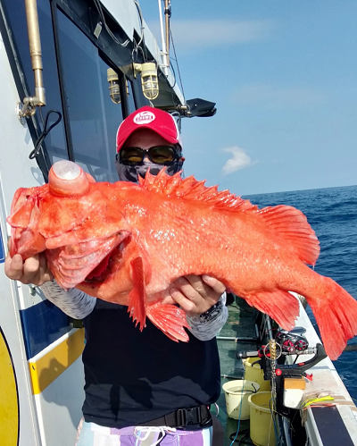 深海釣り アコウ