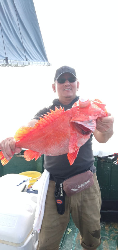 深海釣り アコウ