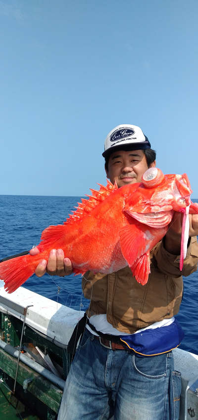 深海釣り アコウ
