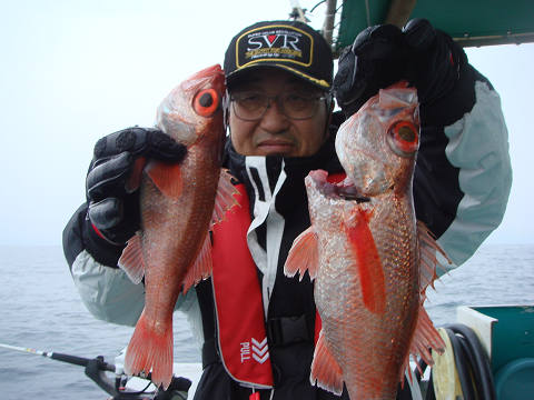 [Cނ
