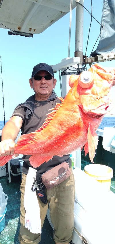 深海釣り アコウ