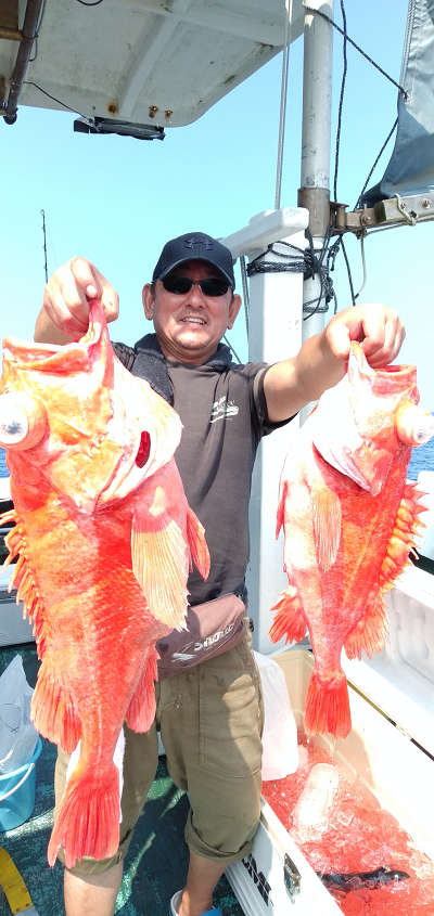 深海釣り アコウ