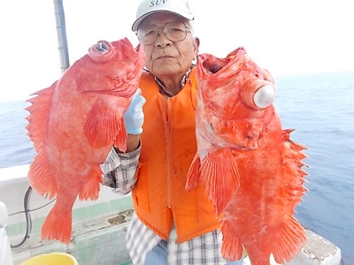 深海釣り アコウ
