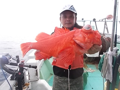 深海釣り アコウ