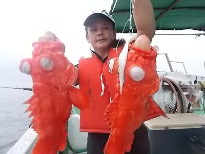 深海釣り アコウ