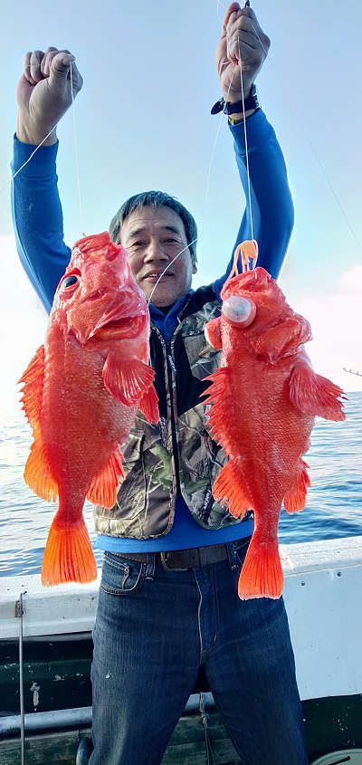 深海釣り アコウ