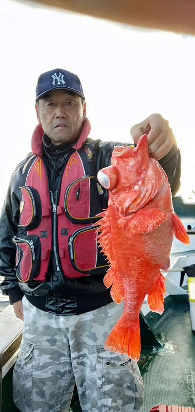 深海釣り アコウ
