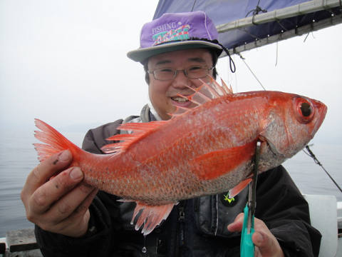 [Cނ