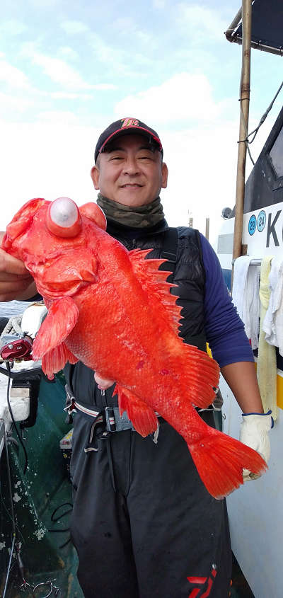 深海釣り アコウ