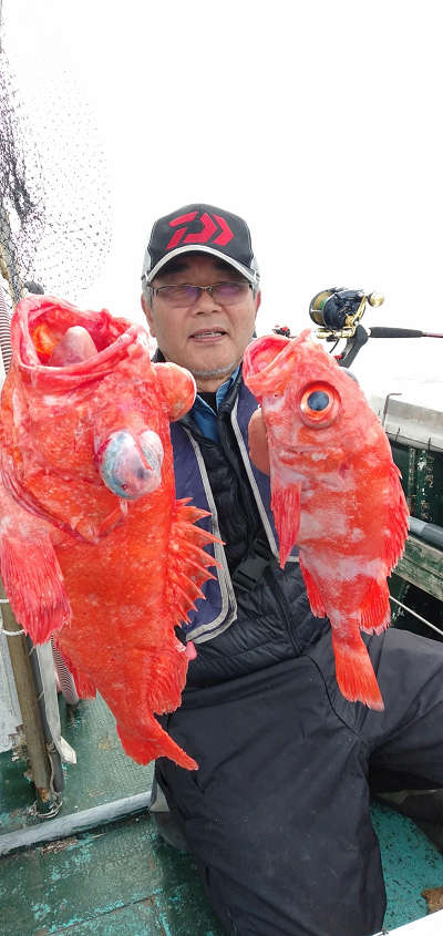 深海釣り アコウ