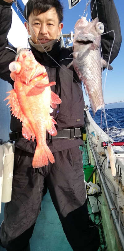 深海釣り アコウ