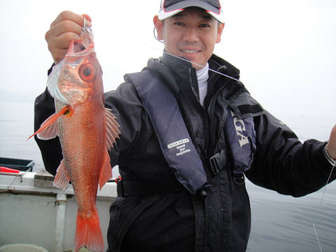 [Cނ