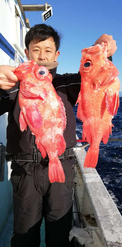 深海釣り アコウ