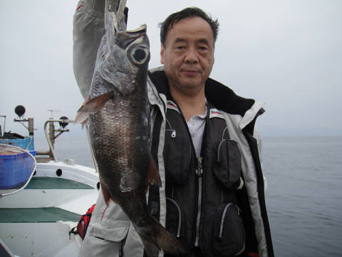 [Cނ