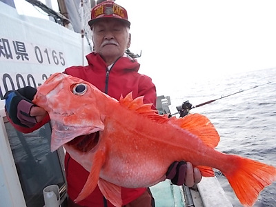 深海釣り アコウ