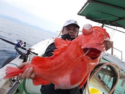 深海釣り アコウ