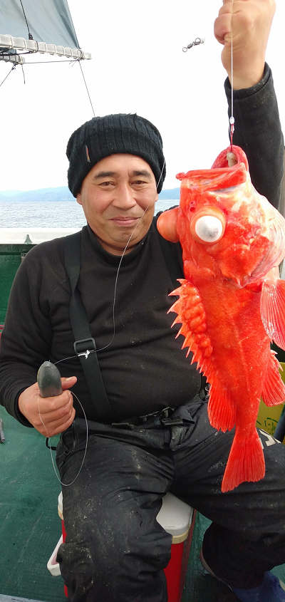 深海釣り アコウ