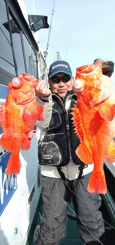深海釣り アコウ