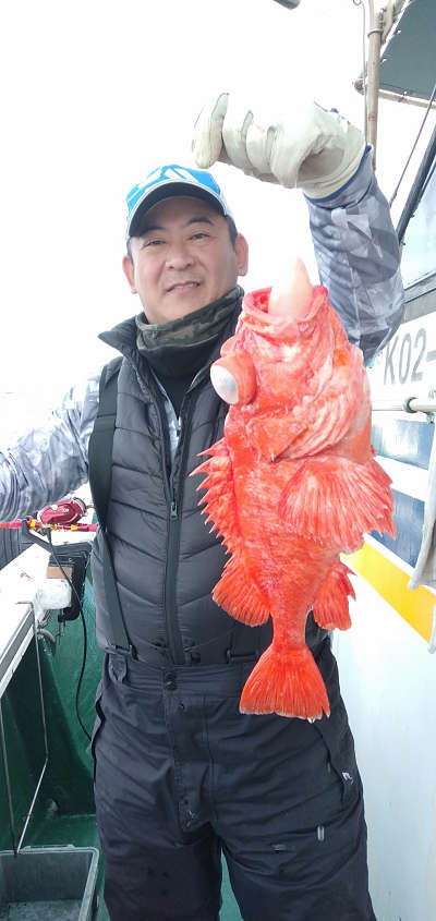 深海釣り アコウ