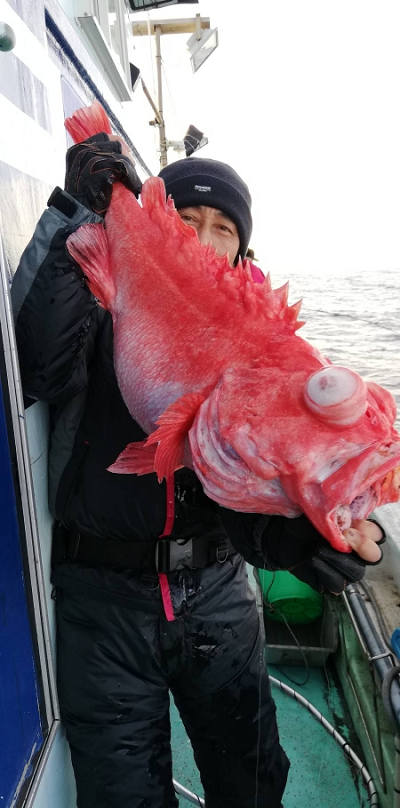 深海釣り アコウ