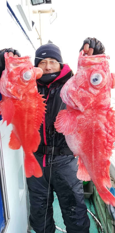 深海釣り アコウ