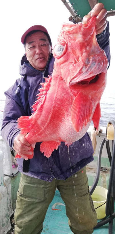 深海釣り アコウ