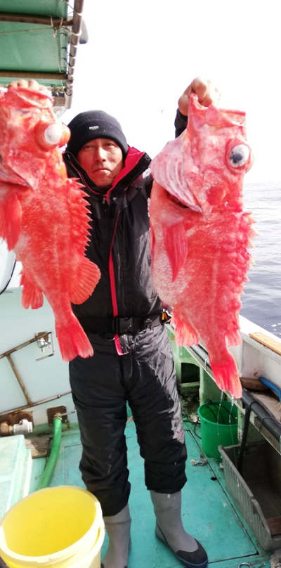深海釣り アコウ