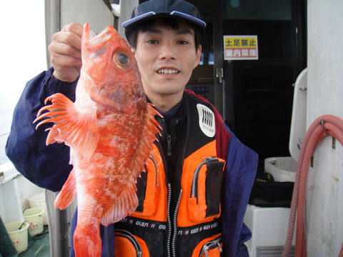 [Cނ
