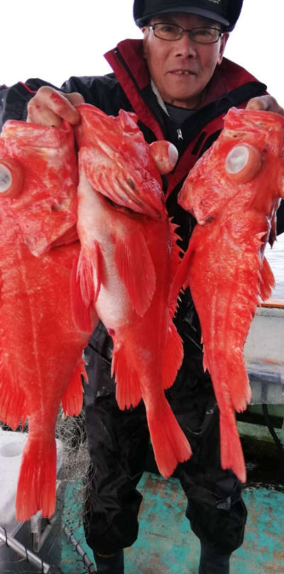 深海釣り アコウ